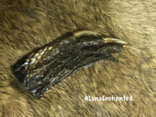 Load image into Gallery viewer, Lucky Alligator Foot
