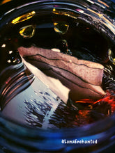 Load image into Gallery viewer, Honey Jar Spell Kit
