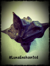 Load image into Gallery viewer, Devil's Pod aka  Bat Nut
