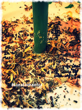 Load image into Gallery viewer, Attract Wealth Spell Kit
