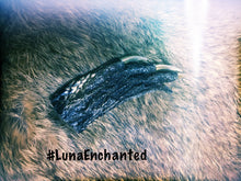 Load image into Gallery viewer, Lucky Alligator Foot
