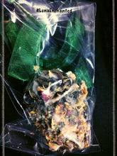 Load image into Gallery viewer, Magnolia Seed Cone

