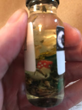 Load image into Gallery viewer, Lucky Devil Money Oil
