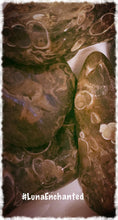 Load image into Gallery viewer, Turritella Agate
