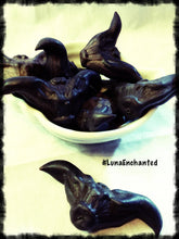 Load image into Gallery viewer, Devil's Pod aka  Bat Nut

